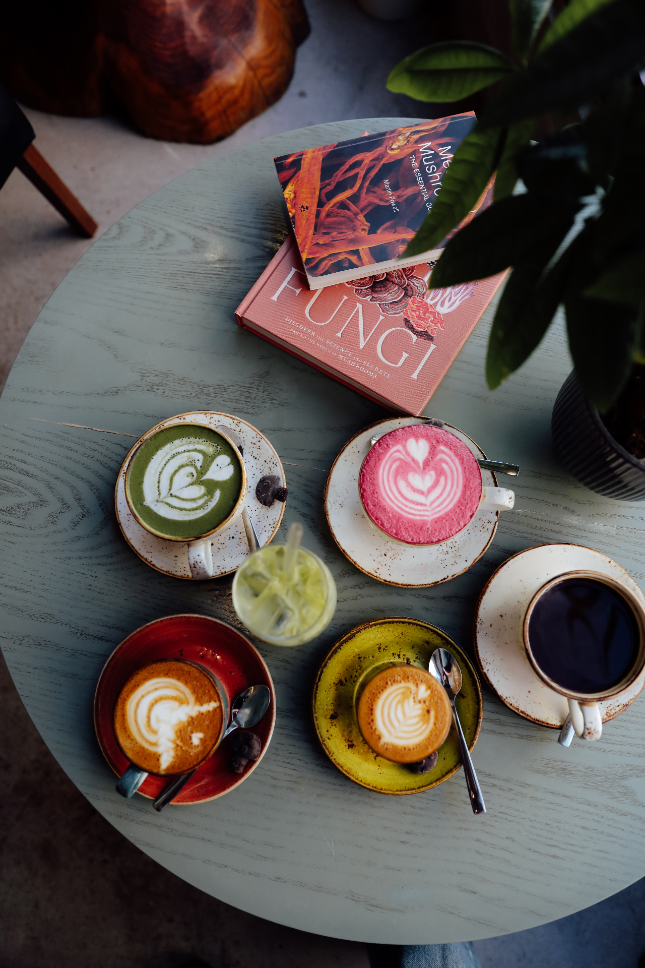Overhead view of mushroom-infused drinks at the Shrooma café: matcha and beetroot lattes, espresso, and a cold brew, with mycology books.